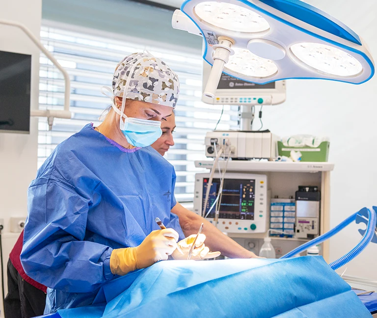 Chirurgie des tissus mous