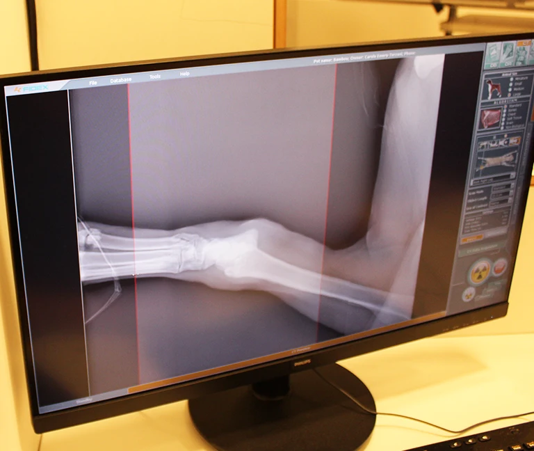 Chirurgie orthopédique