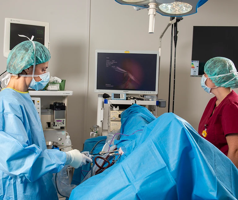 Chirurgie & soins spécialisés