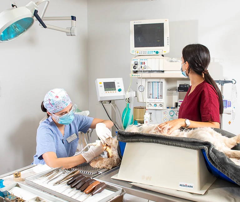 Diagnostic & traitement