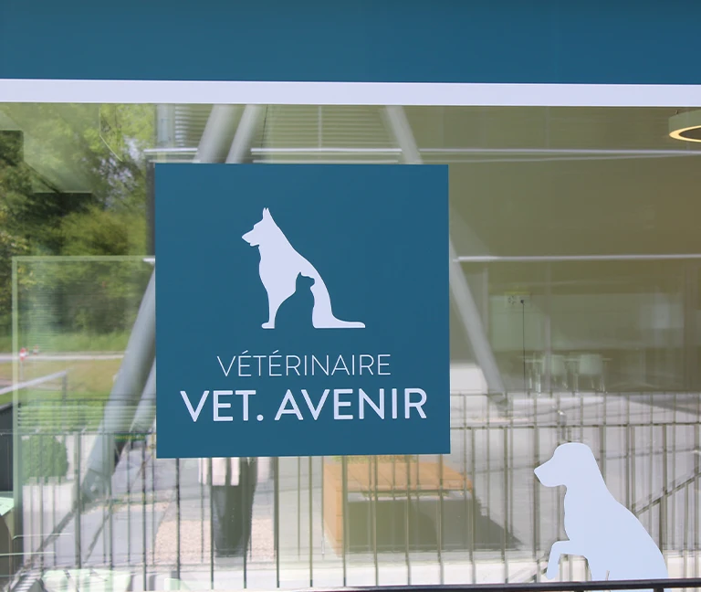 O&ugrave; et comment sont trait&eacute;es les urgences ?