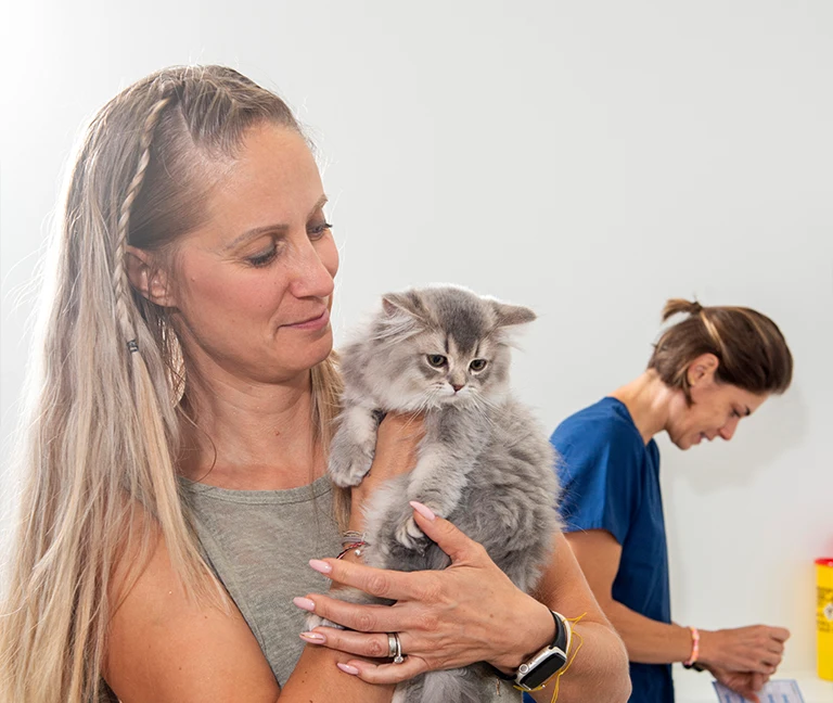 Pourquoi faire identifier son animal ?