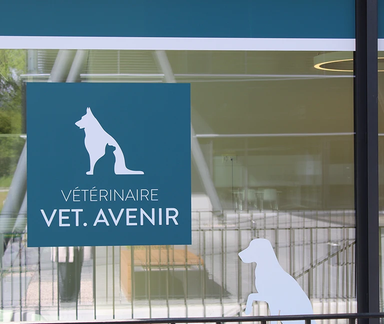 Un cabinet facilement accessible