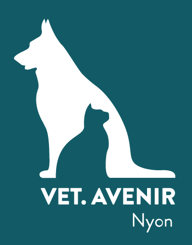 vetavenir-logo